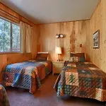 Shangri La-De-Da At The Redwoods